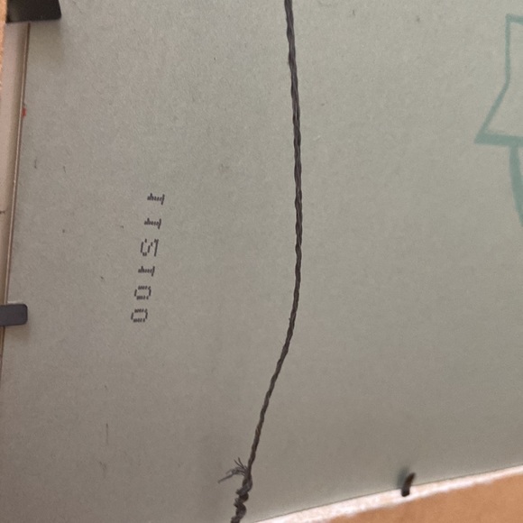 Michelle Thomas Portrait - Picture 5 of 7